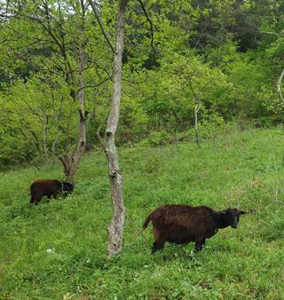 김순필수방님의 자유주제 · 자유게시판 작성글 사진
