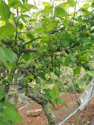 김순필수방님의 자유주제 · 자유게시판 작성글 사진