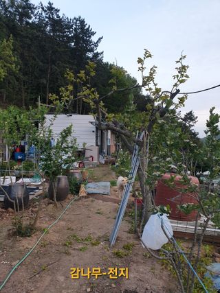 김순필수방님의 자유주제 · 자유게시판 작성글 사진