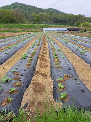 좋은인연원님의 자유주제 · 자유게시판 작성글 사진