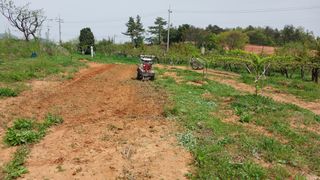 나수일님의 감 · 자유게시판 작성글 사진