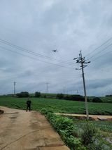 팜모닝 콩·병해충상담 게시글 이미지