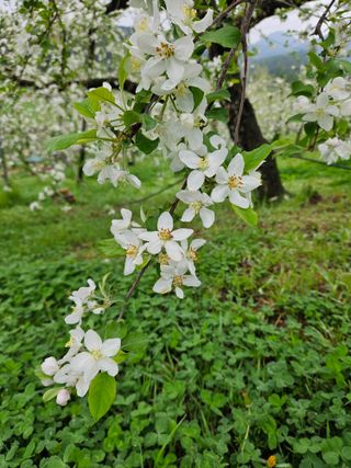 이훈희님의 최근에 산 것 자랑하기 · 참여글 작성글 사진