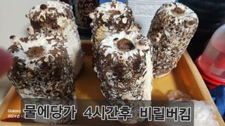 무현님의 자유주제 · 칭찬해요 작성글 사진