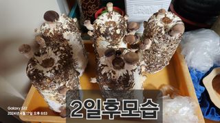 무현님의 자유주제 · 칭찬해요 작성글 사진