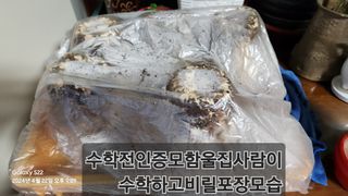 무현님의 자유주제 · 칭찬해요 작성글 사진