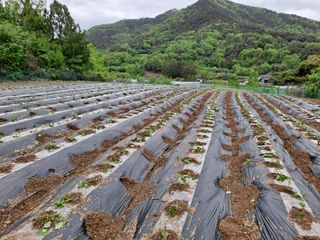 박손분님의 자유주제 · 자유게시판 작성글 사진