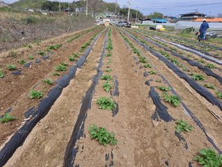 박손분님의 자유주제 · 자유게시판 작성글 사진