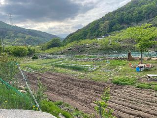 도곡님의 자유주제 · 자유게시판 작성글 사진