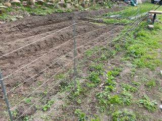 도곡님의 자유주제 · 자유게시판 작성글 사진