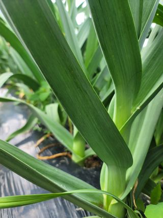 둥근마지기님의 자유주제 · 자유게시판 작성글 사진