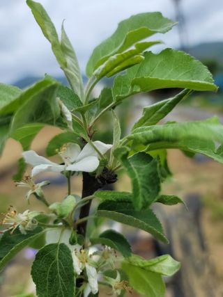 둥근마지기님의 자유주제 · 자유게시판 작성글 사진