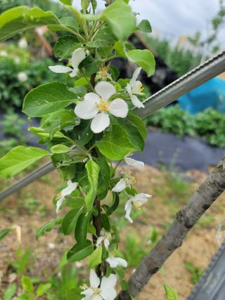 둥근마지기님의 자유주제 · 자유게시판 작성글 사진