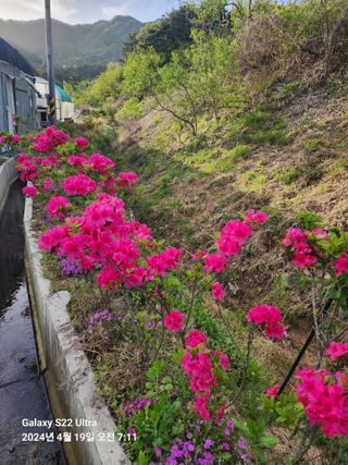 용수리또리농장님의 자유주제 · 자유게시판 작성글 사진