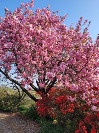 커피나무님의 자유주제 · 사진전 작성글 사진