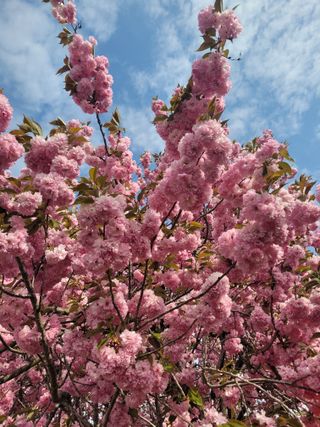 커피나무님의 자유주제 · 사진전 작성글 사진