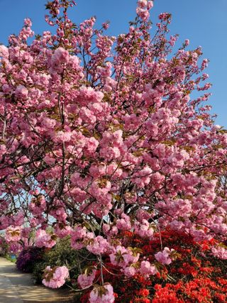 커피나무님의 자유주제 · 사진전 작성글 사진