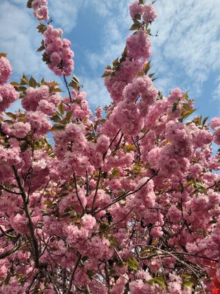 커피나무님의 자유주제 · 사진전 작성글 사진