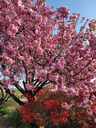 커피나무님의 자유주제 · 사진전 작성글 사진