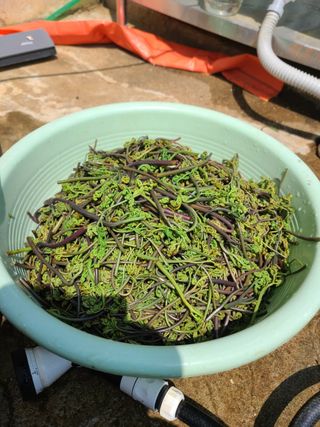 사랑천사님의 자유주제 · 자유게시판 작성글 사진