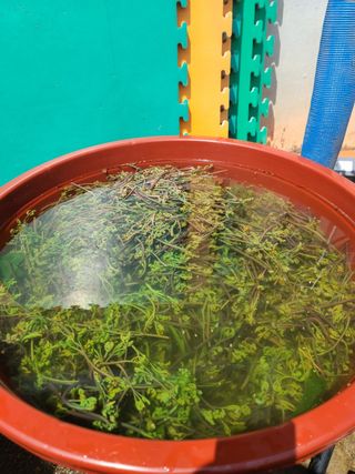 사랑천사님의 자유주제 · 자유게시판 작성글 사진