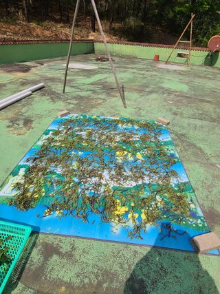 사랑천사님의 자유주제 · 자유게시판 작성글 사진