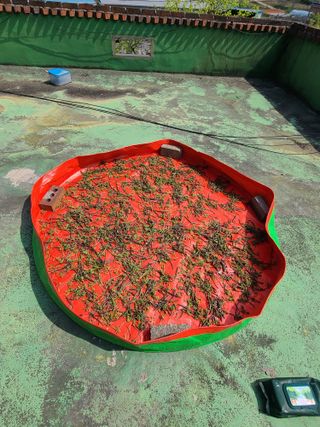 사랑천사님의 자유주제 · 자유게시판 작성글 사진