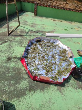 사랑천사님의 자유주제 · 자유게시판 작성글 사진