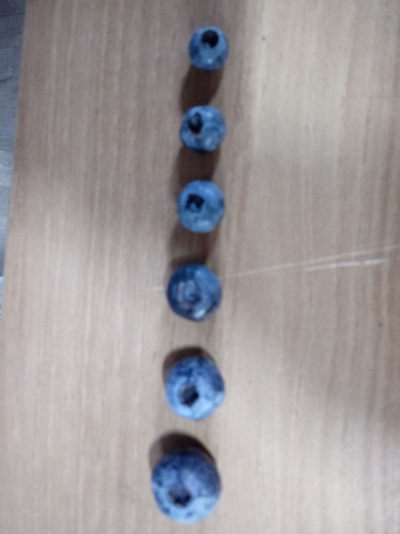 정창복님의 장터 판매 상품 [블루베리생과 1kg] 첨부 사진