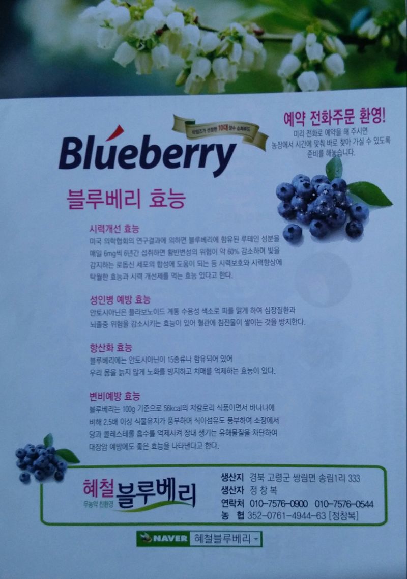 정창복님의 장터 판매 상품 [블루베리생과 1kg] 첨부 사진