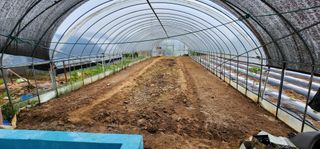 이희연님의 상추 · 영농일지 작성글 사진