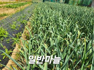 들꽃농장님의 자유주제 · 자유게시판 작성글 사진