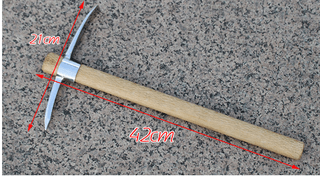 다이쏘(권자영)님의 작성글 사진