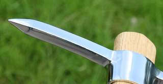 다이쏘(권자영)님의 작성글 사진