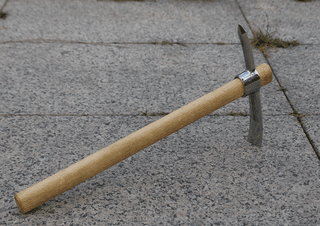 다이쏘(권자영)님의 작성글 사진