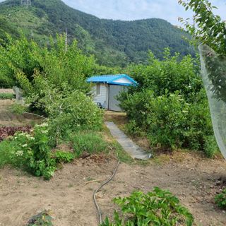 미르가람님의 그곳에서 농사하게 된 계기는? · 참여글 작성글 사진