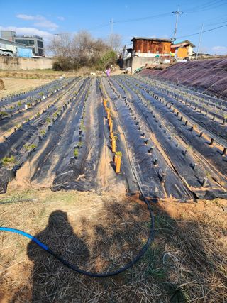 나무쟁이님의 그곳에서 농사하게 된 계기는? · 참여글 작성글 사진