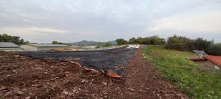 안지혜님의 자유주제 · 자유게시판 작성글 사진