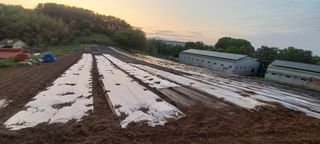 안지혜님의 자유주제 · 자유게시판 작성글 사진