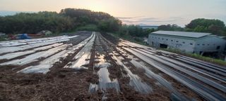 안지혜님의 자유주제 · 자유게시판 작성글 사진