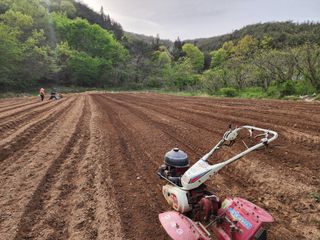 평생학상님의 그곳에서 농사하게 된 계기는? · 참여글 작성글 사진