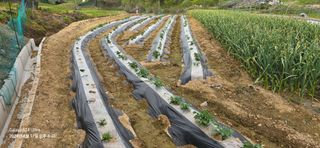 미우리님의 그곳에서 농사하게 된 계기는? · 참여글 작성글 사진