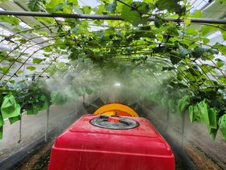 영금포도농원님의 그곳에서 농사하게 된 계기는? · 참여글 작성글 사진