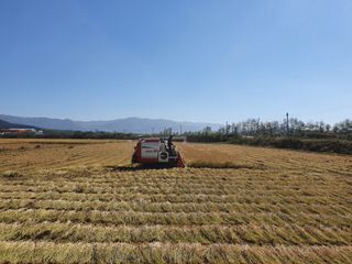 박철규 님의 그곳에서 농사하게 된 계기는? · 참여글 작성글 사진