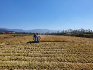 박철규 님의 그곳에서 농사하게 된 계기는? · 참여글 작성글 사진