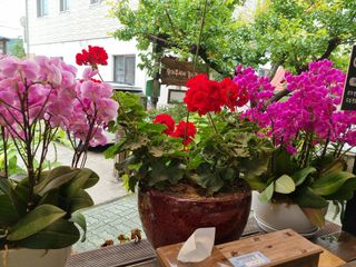 한경영님의 그곳에서 농사하게 된 계기는? · 참여글 작성글 사진