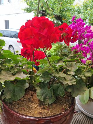 한경영님의 그곳에서 농사하게 된 계기는? · 참여글 작성글 사진