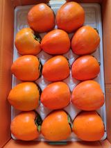 팜모닝 그곳에서 농사하게 된 계기는?·참여글 게시글 이미지