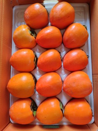 손영헌님의 그곳에서 농사하게 된 계기는? · 참여글 작성글 사진