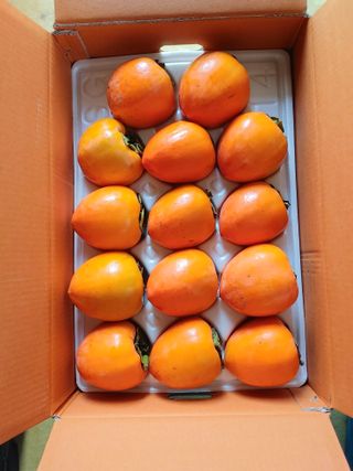 손영헌님의 그곳에서 농사하게 된 계기는? · 참여글 작성글 사진